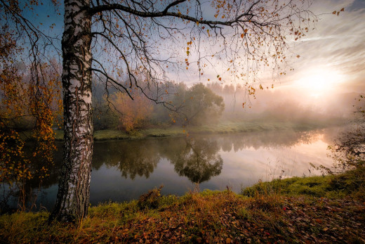 1753896 (a): :1920x1280